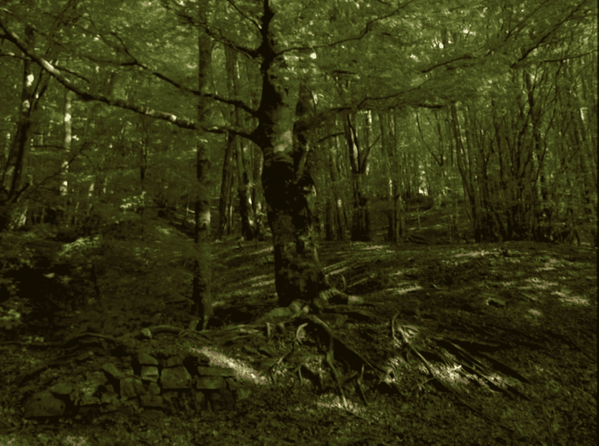 Scene 3