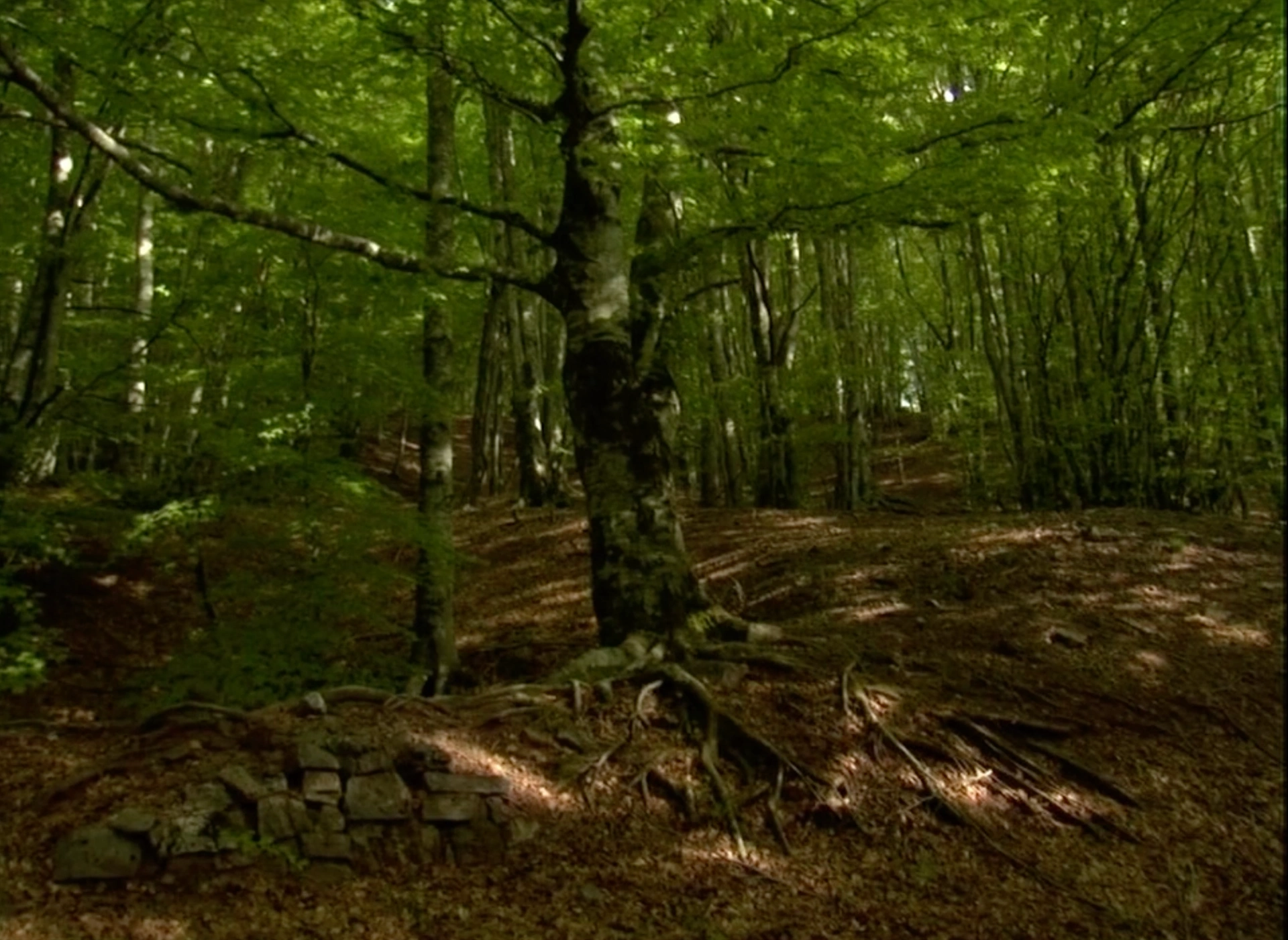 Scena 3